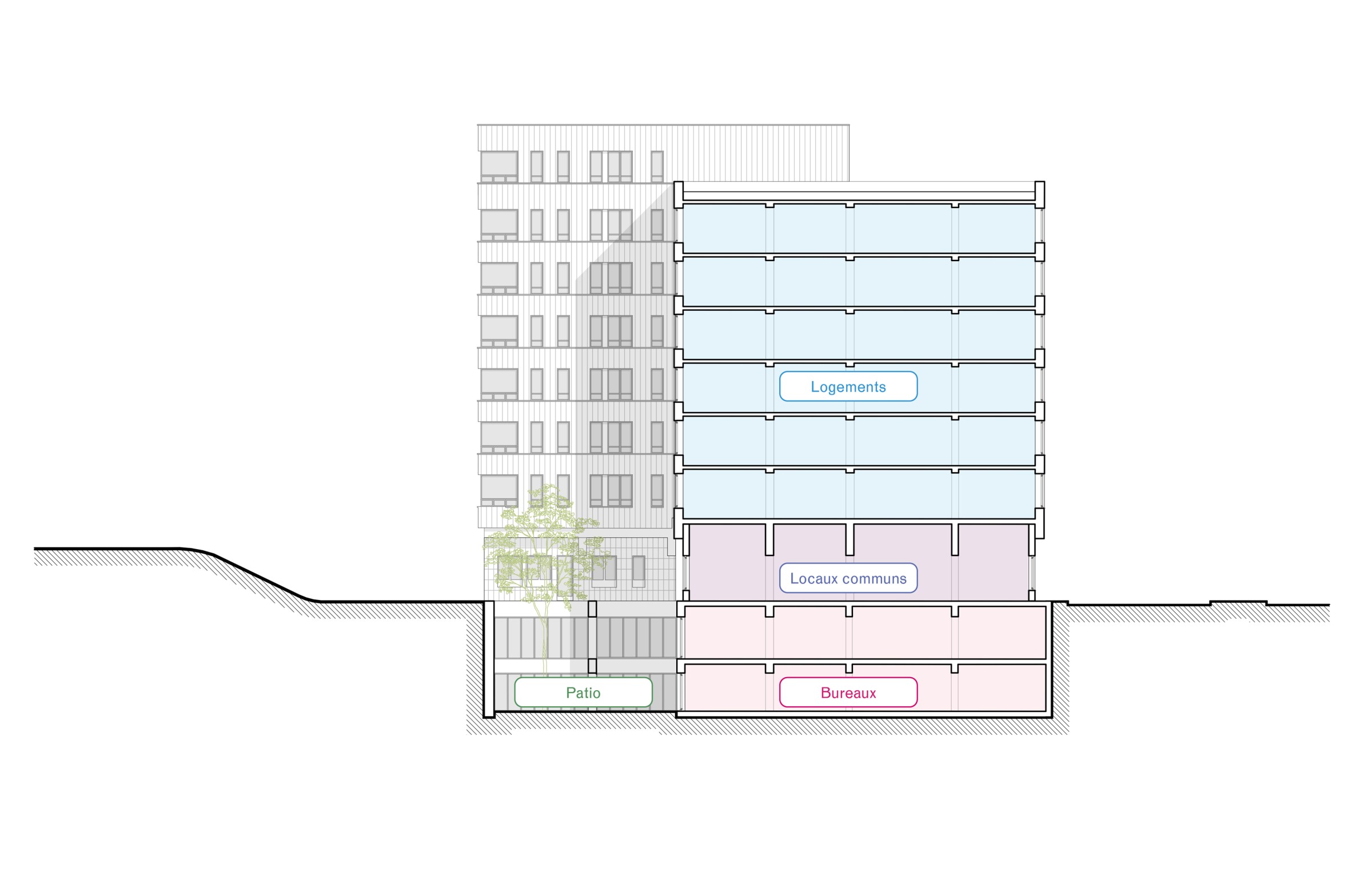 acajú architectes